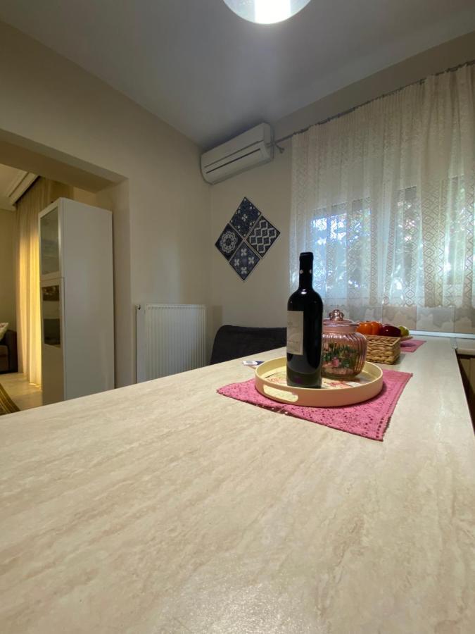 Cozy And Quiet Mini City Apartment Trikala  Bagian luar foto