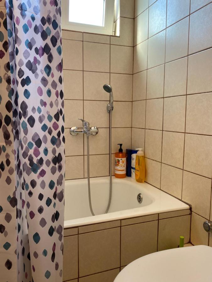 Cozy And Quiet Mini City Apartment Trikala  Bagian luar foto