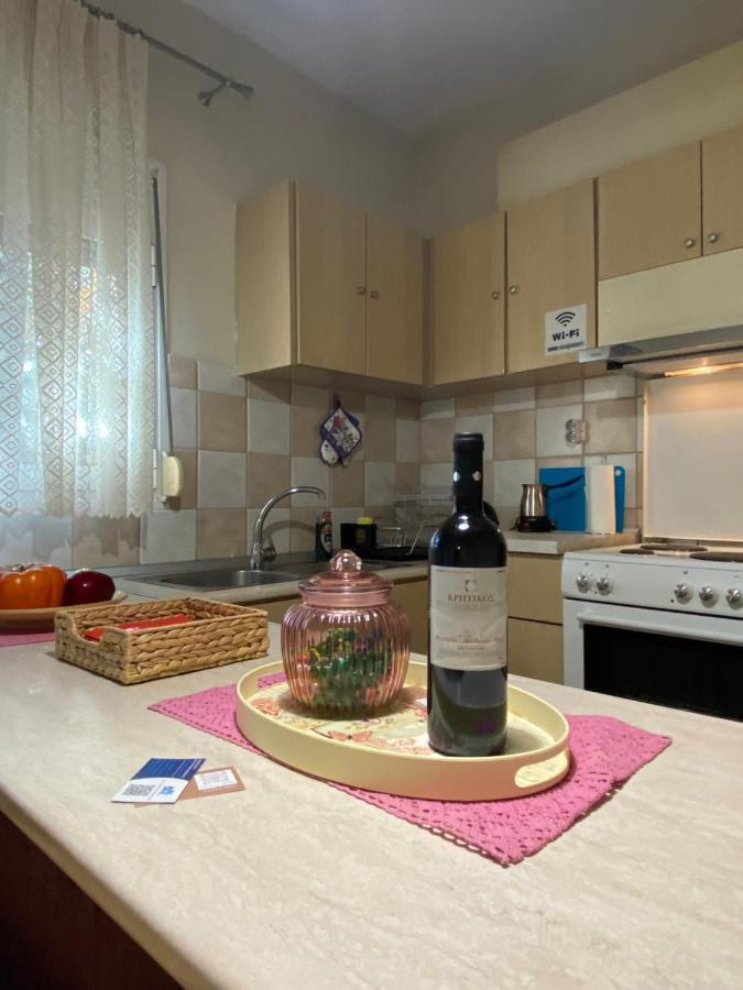 Cozy And Quiet Mini City Apartment Trikala  Bagian luar foto