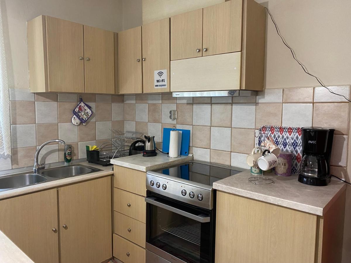 Cozy And Quiet Mini City Apartment Trikala  Bagian luar foto