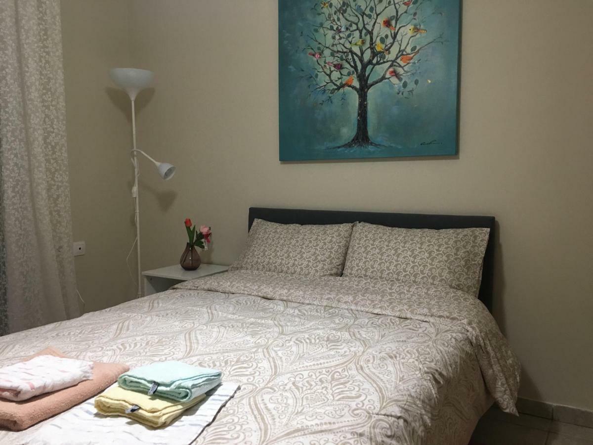 Cozy And Quiet Mini City Apartment Trikala  Bagian luar foto