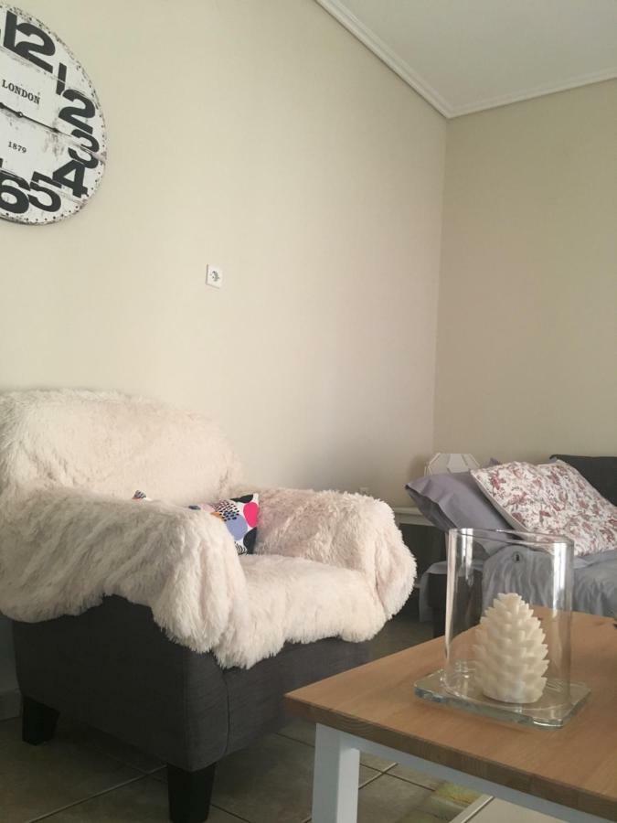 Cozy And Quiet Mini City Apartment Trikala  Bagian luar foto